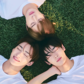 Hanjin-Jihoon--Kyungmin